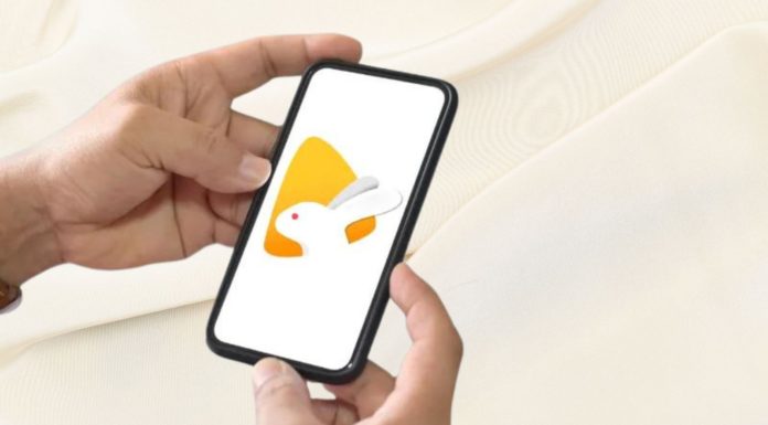 What is Bunny Live? How to download Bunny Live on your computer, phone easily