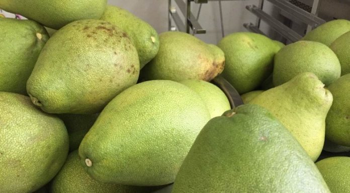 Smart people will place watermelon rinds in these 5 positions in their home for maximum benefits