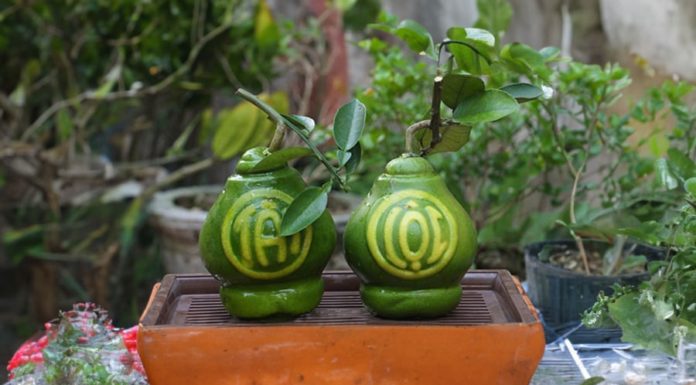 Should you buy gold-plated fruits like pomelo and other uniquely shaped and engraved fruits for offering purposes?