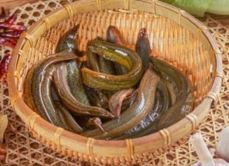 Calcium-rich fish: 10 times more calcium than squid, 6 times more than carp, as nutritious as bird’s nest, and affordable.