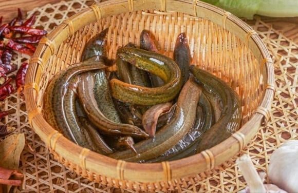 Calcium-rich fish: 10 times more calcium than squid, 6 times more than carp, as nutritious as bird’s nest, and affordable.