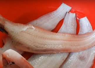 4 Types of Boneless Freshwater Fish, Wild-Caught, No Artificial Growth, More Nutritious with Each Bite