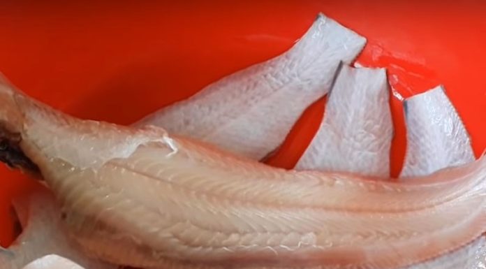 4 Types of Boneless Freshwater Fish, Wild-Caught, No Artificial Growth, More Nutritious with Each Bite