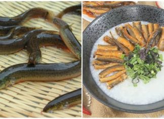 Nutrition Expert Reveals: 1 Type of Fish Like Water Ginseng, Great for Health, Unknown to Many