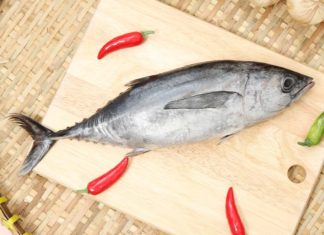 5 Types of Fish That Seem Nutritious But Contain High Levels of Mercury and Heavy Metals: Don’t Compromise on Quality When Shopping