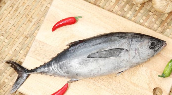 5 Types of Fish That Seem Nutritious But Contain High Levels of Mercury and Heavy Metals: Don’t Compromise on Quality When Shopping