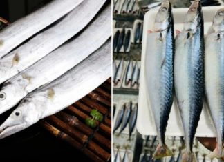 8 nutrient-rich, meaty fish with minimal bones – a must-buy when spotted at the market