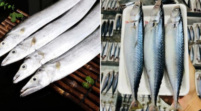 8 nutrient-rich, meaty fish with minimal bones – a must-buy when spotted at the market