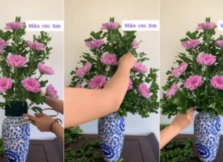 2 Quick and Beautiful Ways to Arrange Chrysanthemum Flowers for Tet Worship Altar