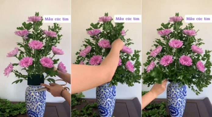 2 Quick and Beautiful Ways to Arrange Chrysanthemum Flowers for Tet Worship Altar