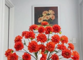 Long-lasting Medicinal Flowers: Learn how to arrange them for both beauty and elegance