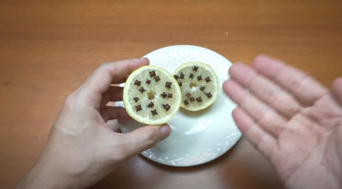 Place this in a lemon, put it in the room, mosquitoes won’t dare to buzz, everyone can sleep peacefully