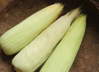 Secret Tips to Cook Sweet, Fragrant, and Juicy Corn to Perfection