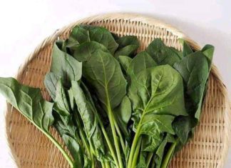 Experienced Chef’s Classy Steamed Egg: Surprisingly Simple, Delicious, and Nutritious