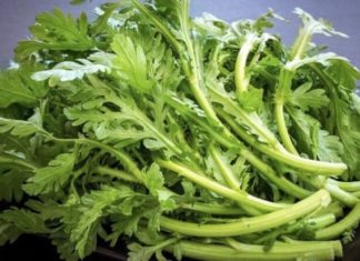 Ancient vegetable that was once only fit for kings, now sold cheaply at the market, as nutritious as ginseng.