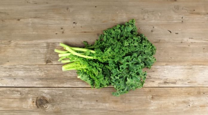 Not only fish but also 5 common vegetables surprisingly rich in collagen for anti-aging and increased lifespan