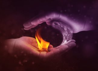 The Significance of Yin and Yang Harmony for Our Physical Wellbeing