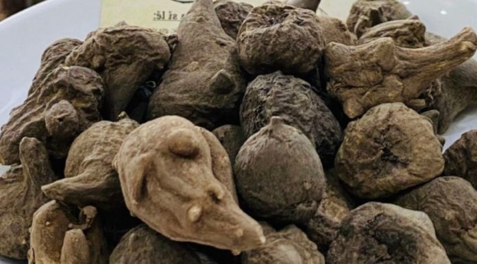 Be cautious not to use rotten vegetables as food, it can harm your health