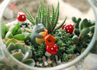 Smart People Will Never Buy These 3 Types of Plants When Going to Tet Market: Especially Type 1