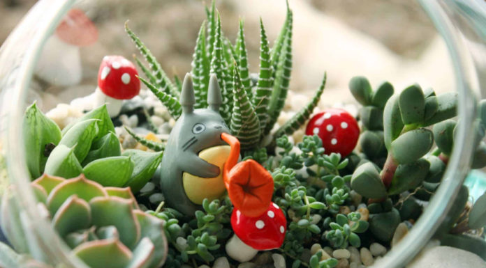 Smart People Will Never Buy These 3 Types of Plants When Going to Tet Market: Especially Type 1