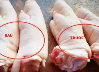 Which is tastier, the front leg or the back leg? Simple tip to differentiate, no fear of buying the wrong one