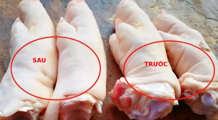 Which is tastier, the front leg or the back leg? Simple tip to differentiate, no fear of buying the wrong one