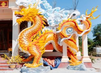 Admire the Dragon creature in all its shades on the threshold of the New Year 2024