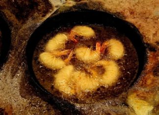 Best Cooking Oil for Frying: Turns Out Many Families Are Choosing Wrong, No Wonder It’s Making You Fat and Sick