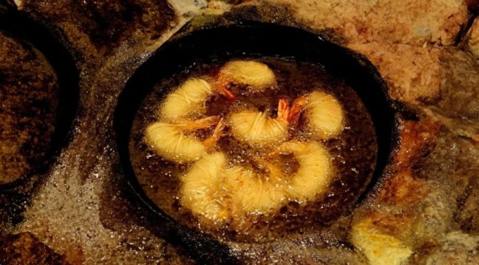 Best Cooking Oil for Frying: Turns Out Many Families Are Choosing Wrong, No Wonder It’s Making You Fat and Sick