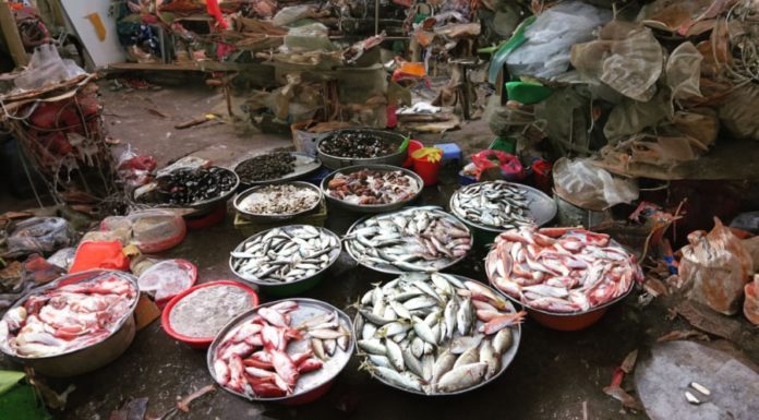 Sea locals reveal the secret to buying fresh seafood: look for this sign to choose the best catch and avoid fraud.