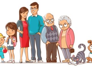 Development and Aging Cycle: 7 years for women, 8 years for men