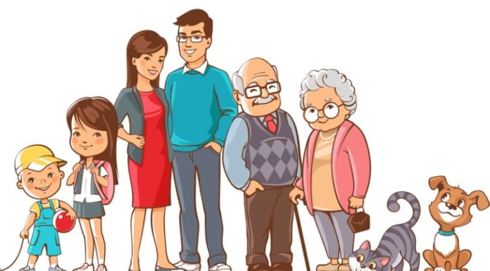 Development and Aging Cycle: 7 years for women, 8 years for men