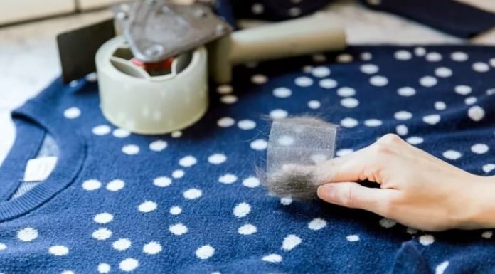 Pet hair sticking to clothes after washing? Try these 4 methods for instant cleanliness.