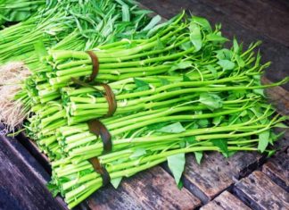 Freshwater Morning Glory: A Healthy Choice for Your Garden