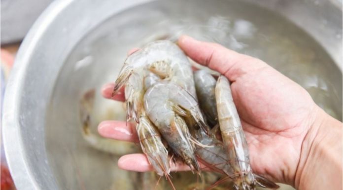 Don’t cook shrimp right in the pan, add this inexpensive ingredient for delicious and aromatic shrimp