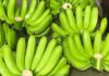 Choose the right banana offering for Lunar New Year to avoid bad luck and financial struggles