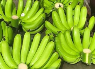 Choose the right banana offering for Lunar New Year to avoid bad luck and financial struggles