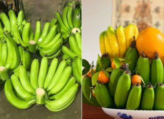 Can I combine two bananas to make an incense offering for Lunar New Year? Important banana taboos for Lunar New Year.