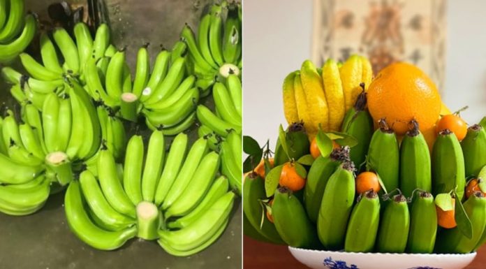 Can I combine two bananas to make an incense offering for Lunar New Year? Important banana taboos for Lunar New Year.