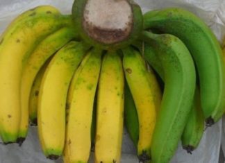 Confusion in distinguishing different types of bananas in Vietnam