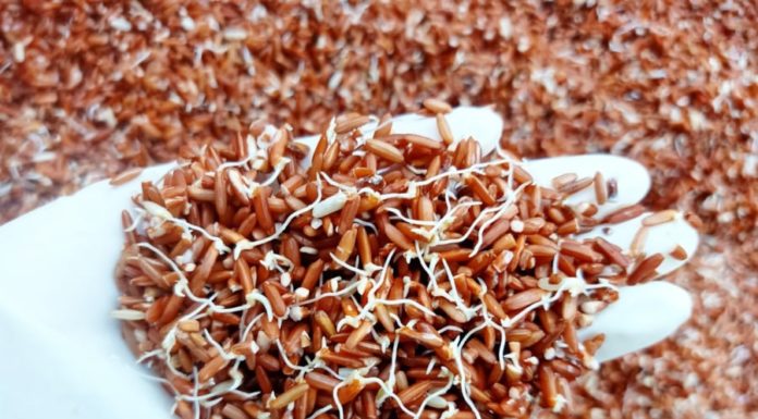 5 Foods That Sprout Not Only Harmless But Also Double Nutritional Values