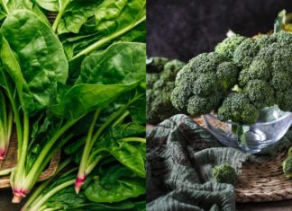6 Types of Vegetables that Boost Collagen Production, Enhancing Your Skin’s Radiance Without the Fear of Weight Gain