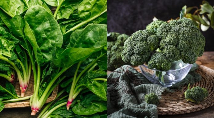 6 Types of Vegetables that Boost Collagen Production, Enhancing Your Skin’s Radiance Without the Fear of Weight Gain