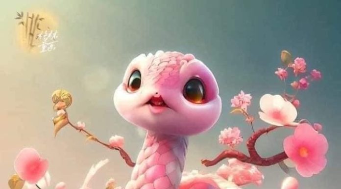 The Official End of Suffering at the 4th Anniversary of the Lunar December: Wealth Increases Thousandfold