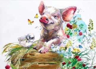 The Ultimate Fortune Favors the Brave: A 4-Year-Old’s Heavenly Exhaustion and the Abundance of Lunar New Year.