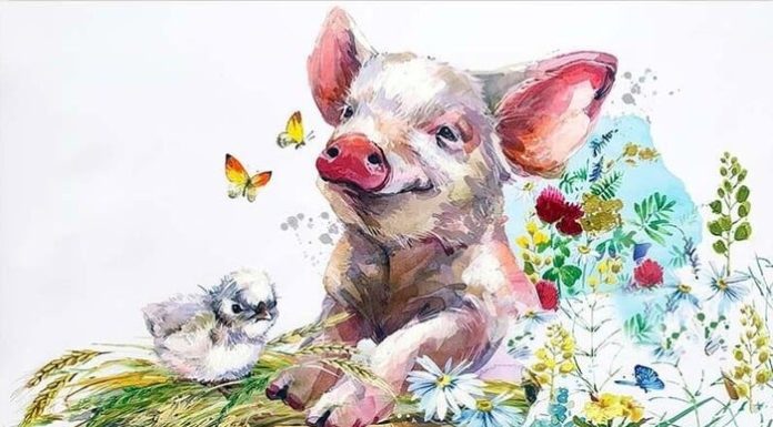 The Ultimate Fortune Favors the Brave: A 4-Year-Old’s Heavenly Exhaustion and the Abundance of Lunar New Year.