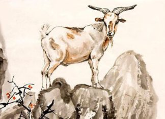 The Golden Child: A 4-Year-Old’s Journey to Wealth and Prosperity in the Year of the Horse