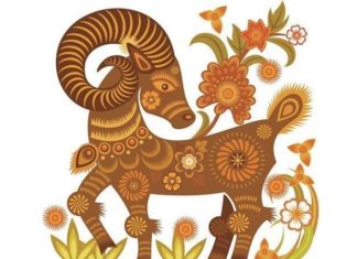 Closer to Tet, the more vibrant it becomes: From 4 years old to the golden era, the radiant Time-Love like no other.