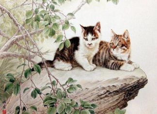 4-Year-old Reddest in January 2023: Money keeps growing, encountering financial pitfalls