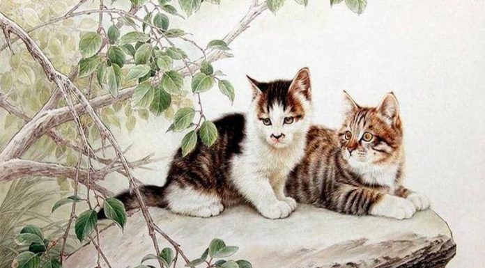 4-Year-old Reddest in January 2023: Money keeps growing, encountering financial pitfalls